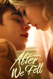 After We Fell English  subtitles - SUBDL poster