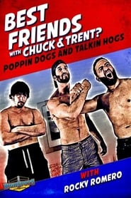 Best Friends With Rocky Romero (2016) subtitles - SUBDL poster