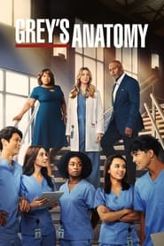 Grey's Anatomy Farsi_persian  subtitles - SUBDL poster