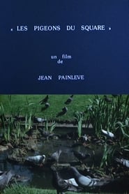 Pigeons in the Square (1982) subtitles