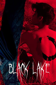 Black Lake (2020) subtitles - SUBDL poster