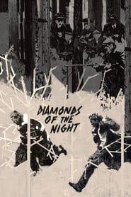 Diamonds of the Night (Démanty noci)