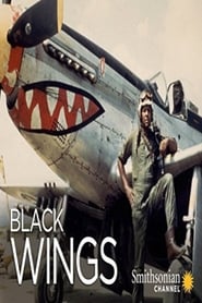Black Wings (2012) subtitles - SUBDL poster
