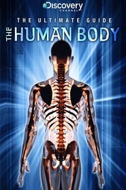 Ultimate Guide: The Human Body Hebrew  subtitles - SUBDL poster