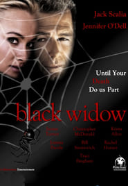 Black Widow (2010) subtitles - SUBDL poster
