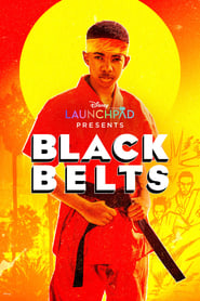 Black Belts English  subtitles - SUBDL poster