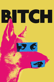 Bitch English  subtitles - SUBDL poster
