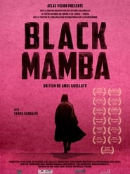 Black Mamba (2017) subtitles - SUBDL poster
