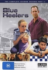 Blue Heelers