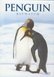 Penguin Baywatch Antarctica (2015) subtitles - SUBDL poster