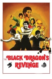 Black Dragon's Revenge English  subtitles - SUBDL poster