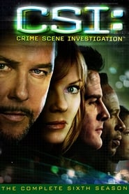 CSI: Crime Scene Investigation Arabic  subtitles - SUBDL poster