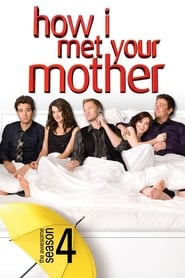 How I Met Your Mother Arabic  subtitles - SUBDL poster