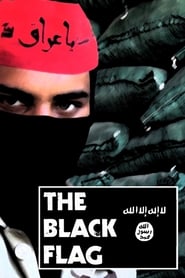The Black Flag (2015) subtitles - SUBDL poster