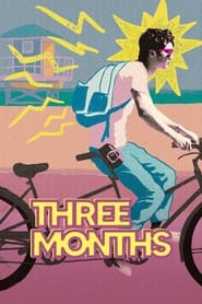 Three Months Danish  subtitles - SUBDL poster