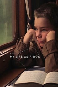My Life as a Dog (Mitt liv som hund) (1985) subtitles - SUBDL poster