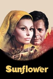 Sunflower (1970) subtitles