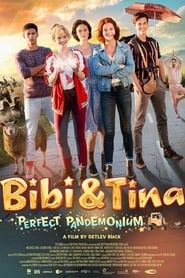 Bibi & Tina: Perfect Pandemonium (2017) subtitles - SUBDL poster