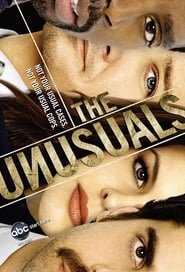 The Unusuals (2009) subtitles - SUBDL poster