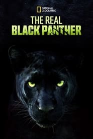 The Real Black Panther Dutch  subtitles - SUBDL poster