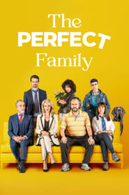 The Perfect Family English  subtitles - SUBDL poster