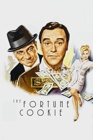 The Fortune Cookie Italian  subtitles - SUBDL poster