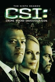 CSI: Crime Scene Investigation Spanish  subtitles - SUBDL poster
