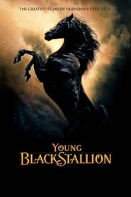 Young Black Stallion Hungarian  subtitles - SUBDL poster