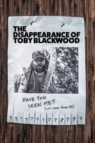 The Disappearance of Toby Blackwood (2021) subtitles - SUBDL poster