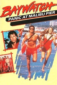 Baywatch: Panic at Malibu Pier (1989) subtitles