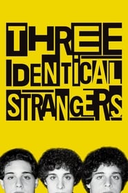 Three Identical Strangers Indonesian  subtitles - SUBDL poster