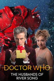 Doctor Who: The Husbands of River Song Turkish  subtitles - SUBDL poster