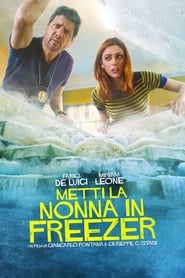Put Nonna in the Freezer (2018) subtitles - SUBDL poster
