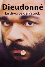 Le divorce de Patrick English  subtitles - SUBDL poster