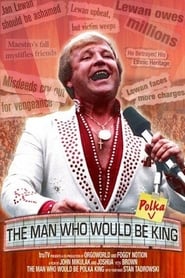 The Man Who Would Be Polka King (2009) subtitles - SUBDL poster