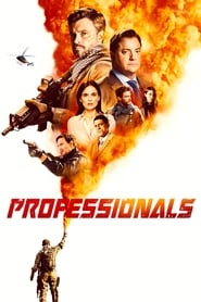 Professionals (2020) subtitles - SUBDL poster