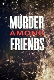 Murder among friends (2016) subtitles - SUBDL poster