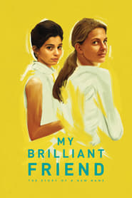 My Brilliant Friend French  subtitles - SUBDL poster