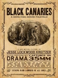 Black Canaries (2016) subtitles - SUBDL poster