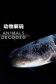 Animals Decoded (2018) subtitles - SUBDL poster