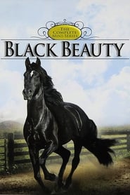 Black Beauty (1978) subtitles - SUBDL poster