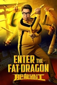 Enter the Fat Dragon (2020) subtitles - SUBDL poster
