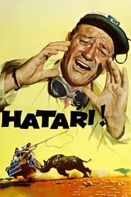 Hatari! Spanish  subtitles - SUBDL poster