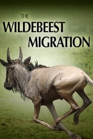 The Wildebeest Migration: Nature's Greatest Journey (2012) subtitles