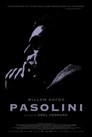 Pasolini (2014) subtitles - SUBDL poster