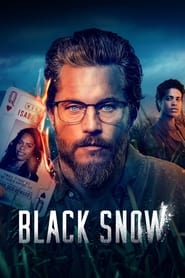 Black Snow English  subtitles - SUBDL poster
