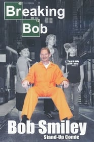 Breaking Bob (2018) subtitles - SUBDL poster
