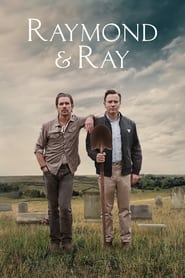 Raymond & Ray Swedish  subtitles - SUBDL poster