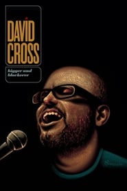 David Cross: Bigger and Blackerer (2010) subtitles - SUBDL poster