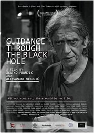 Guidance Through the Black Hole (2017) subtitles - SUBDL poster